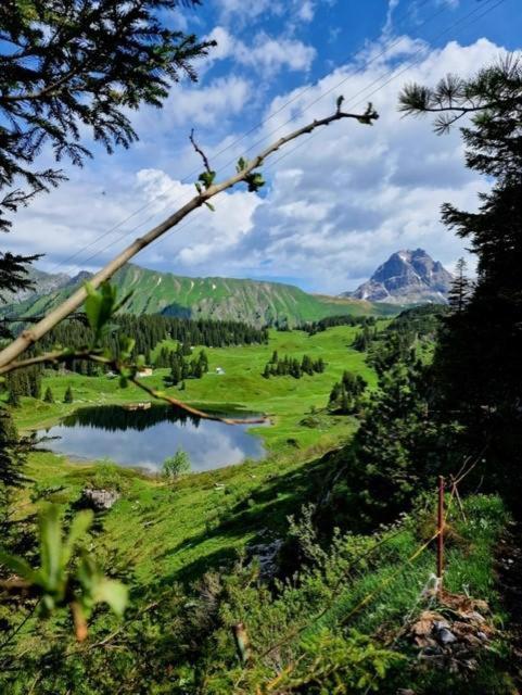 Die Holzgauerin Екстериор снимка